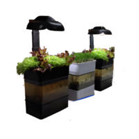 Учебная установка "Аквапоника"  - «globural.ru» - Йошкар-Ола