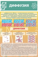 Стенд "Диффузия" - «globural.ru» - Йошкар-Ола