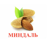 Карточки Домана "Орехи-Ягоды-2" - «globural.ru» - Йошкар-Ола