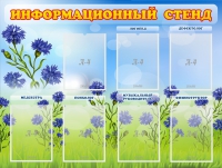Стенд информационный с 7 карманами - «globural.ru» - Йошкар-Ола