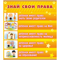 Стенд "Знай свои права" - «globural.ru» - Йошкар-Ола