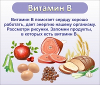 Стенд "Витамин В" - «globural.ru» - Йошкар-Ола