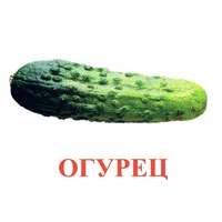Карточки Домана "Овощи-Зелень-1" - «globural.ru» - Йошкар-Ола