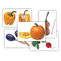 Набор предметных картинок "Овощи. Музыкальные инструменты" - «globural.ru» - Йошкар-Ола