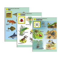 Комплект таблиц для начальной школы "Окружающий мир. Животный мир" - «globural.ru» - Йошкар-Ола