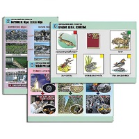 Комплект таблиц для  начальной школы "Окружающий мир. Экология" - «globural.ru» - Йошкар-Ола