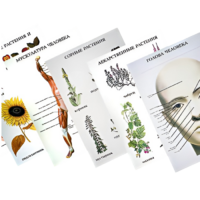 Таблицы по природоведению 1-3 класс - «globural.ru» - Йошкар-Ола