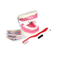 Игровой комплект "Чистим зубы" - «globural.ru» - Йошкар-Ола