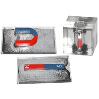 Набор для демонстрации объемных спектров постоянных магнитов - «globural.ru» - Йошкар-Ола