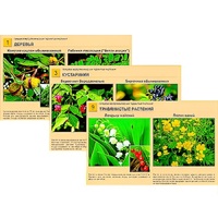 Гербарий фотографический "Ядовитые растения" - «globural.ru» - Йошкар-Ола