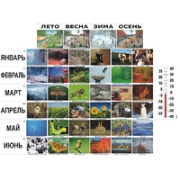 Фенологические наблюдения - «globural.ru» - Йошкар-Ола