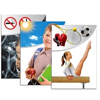 Модель-аппликация "Здоровье человека" - «globural.ru» - Йошкар-Ола