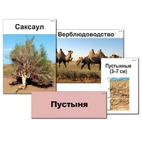 Модель-аппликация "Природные зоны России" - «globural.ru» - Йошкар-Ола