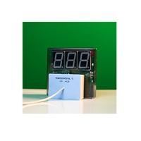 Датчик температуры с независимой индикацией (термометр демонстрационный) - «globural.ru» - Йошкар-Ола