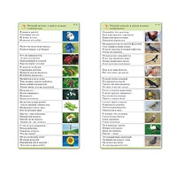 Комплект карточек (10) "Обучающий калейдоскоп. Природа" - «globural.ru» - Йошкар-Ола