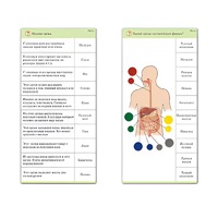 Комплект карточек (10) "Обучающий калейдоскоп. Человек" - «globural.ru» - Йошкар-Ола