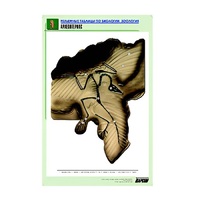 Рельефная таблица "Археоптерикс" (формат А1, матовое ламинир.) - «globural.ru» - Йошкар-Ола