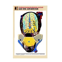 Рельефная таблица "Долька печени. Макро-микростроение" (формат А1, матовое ламинир.) - «globural.ru» - Йошкар-Ола