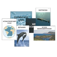 Модель-аппликация "Океаны. Знакомство" (ламинированная) - «globural.ru» - Йошкар-Ола