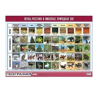 Таблица демонстрационная "Почвы, растения и животные природных зон" (винил 100x140) - «globural.ru» - Йошкар-Ола