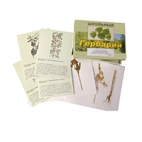 Гербарий "Систематика растений. Семейство Бобовые. Злаки" (раздаточный) - «globural.ru» - Йошкар-Ола