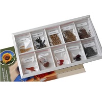 Коллекция "Плоды сельскохозяйственных растений" (вариант 2) - «globural.ru» - Йошкар-Ола