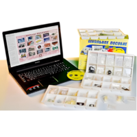 Коллекция натурально-интерактивная "Пластмассы" - «globural.ru» - Йошкар-Ола