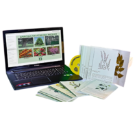 Гербарий натурально-интерактивный "Лекарственные растения" - «globural.ru» - Йошкар-Ола