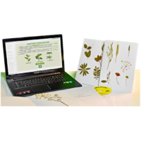 Гербарий натурально-интерактивный "Морфология растений" - «globural.ru» - Йошкар-Ола