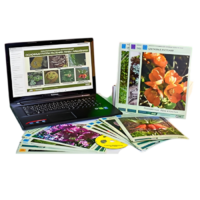 Гербарий натурально-интерактивный "Основные группы растений. Грибы. Лишайники" - «globural.ru» - Йошкар-Ола