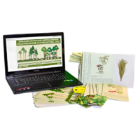 Гербарий натурально-интерактивный "Растительные сообщества. Лес" - «globural.ru» - Йошкар-Ола