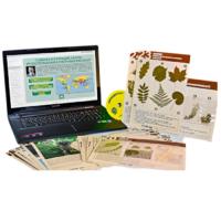 Гербарий натурально-интерактивный к курсу основ общей биологии - «globural.ru» - Йошкар-Ола