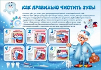 Стенд "Как правильно чистить зубы" - «globural.ru» - Йошкар-Ола