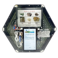 Модуль интерактивный с искусственным интеллектом "Интеллектуальная география" - «globural.ru» - Йошкар-Ола