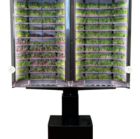 Вертикальная  ферма «Моя микрозелень» комплектация  «Театро настенная» - «globural.ru» - Йошкар-Ола