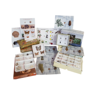 Комплект коллекций демонстрационный - «globural.ru» - Йошкар-Ола