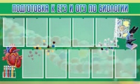 Стенд "Подготовка к ЕГЭ и ОГЭ по биологии" (вариант 2) - «globural.ru» - Йошкар-Ола