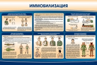 Стенд "Иммобилизация" - «globural.ru» - Йошкар-Ола