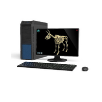 Макет масштабный «Скелет Коровы» Масштаб 1:2 - «globural.ru» - Йошкар-Ола