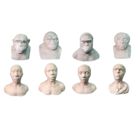 Набор палеонтологических муляжей - «globural.ru» - Йошкар-Ола