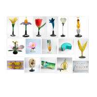 Комплект ботанических моделей демонстрационный - «globural.ru» - Йошкар-Ола