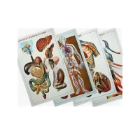 Таблицы рельефные - «globural.ru» - Йошкар-Ола