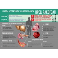 Стенд "Алкоголь" - «globural.ru» - Йошкар-Ола