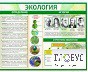Стенд "Экология" - «globural.ru» - Йошкар-Ола