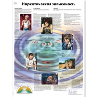 Плакат "Наркотическая зависимость", ламинированный, 50*67 см - «globural.ru» - Йошкар-Ола