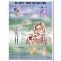 Плакат "Никотиновая зависимость", ламинированный, 50*67 см - «globural.ru» - Йошкар-Ола