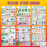 Стенд "Оказание первой помощи" - «globural.ru» - Йошкар-Ола