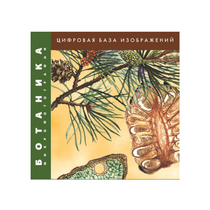 Ботаника. Микрофотографии. (Цифровая база изображений) - «globural.ru» - Йошкар-Ола