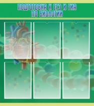 Стенд "Подготовка к ЕГЭ и ОГЭ по биологии" (вариант 1) - «globural.ru» - Йошкар-Ола