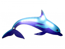 Прибор интерактивный световой «Дельфин» - «globural.ru» - Йошкар-Ола